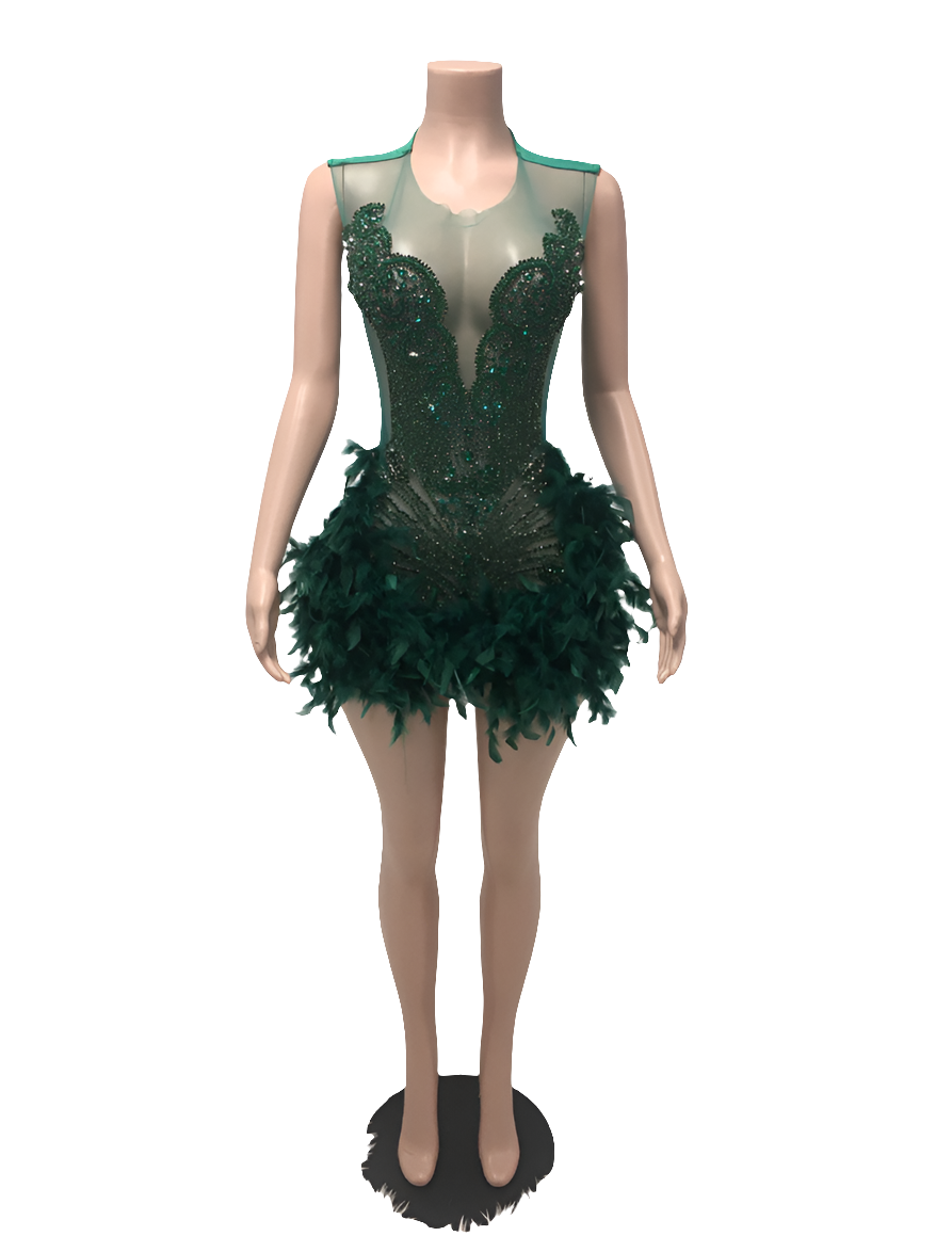 LADY CHLORELLA CHRYSTALLINE SLVSH DRESS