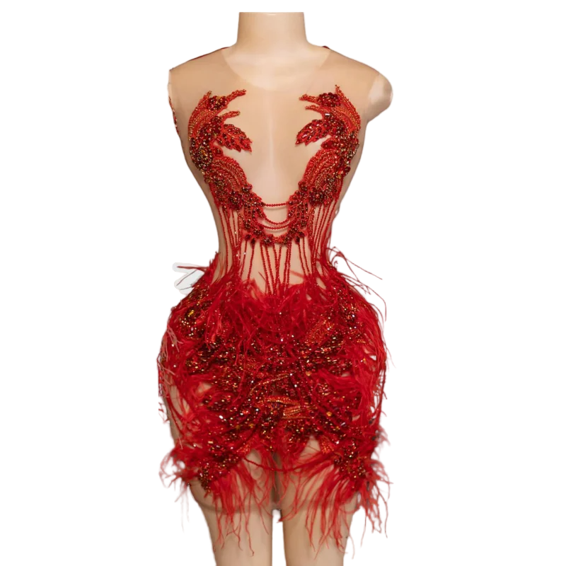 RED OSTRICH SLVSH CRYSTAL DRESS
