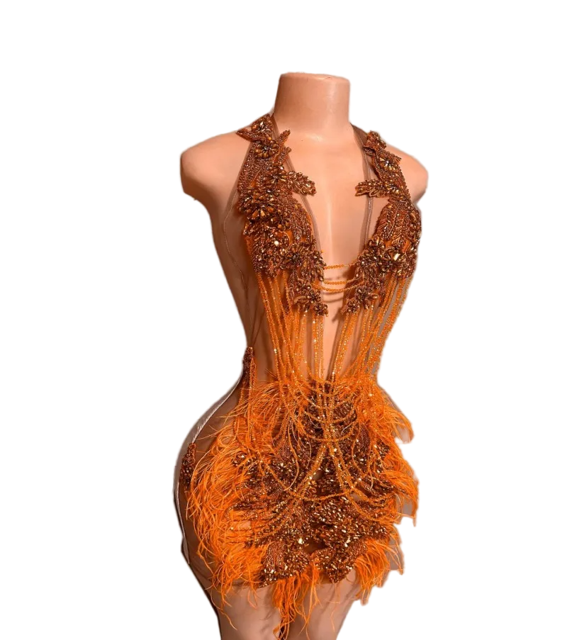 RED OSTRICH SLVSH CRYSTAL DRESS