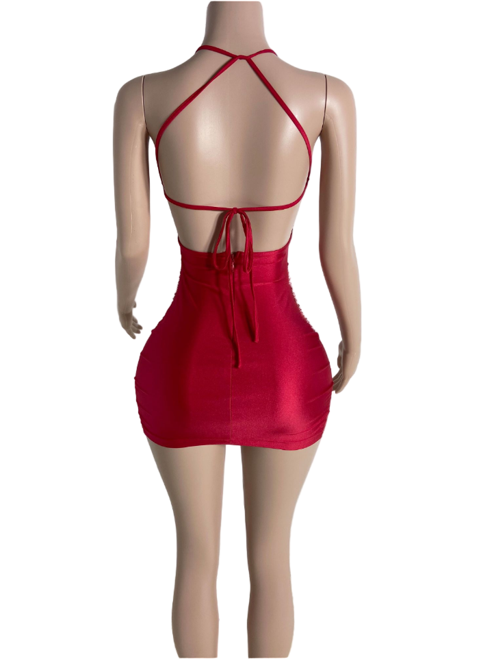 RUBY ROSE CRYSTALLINE SLVSH DRESS