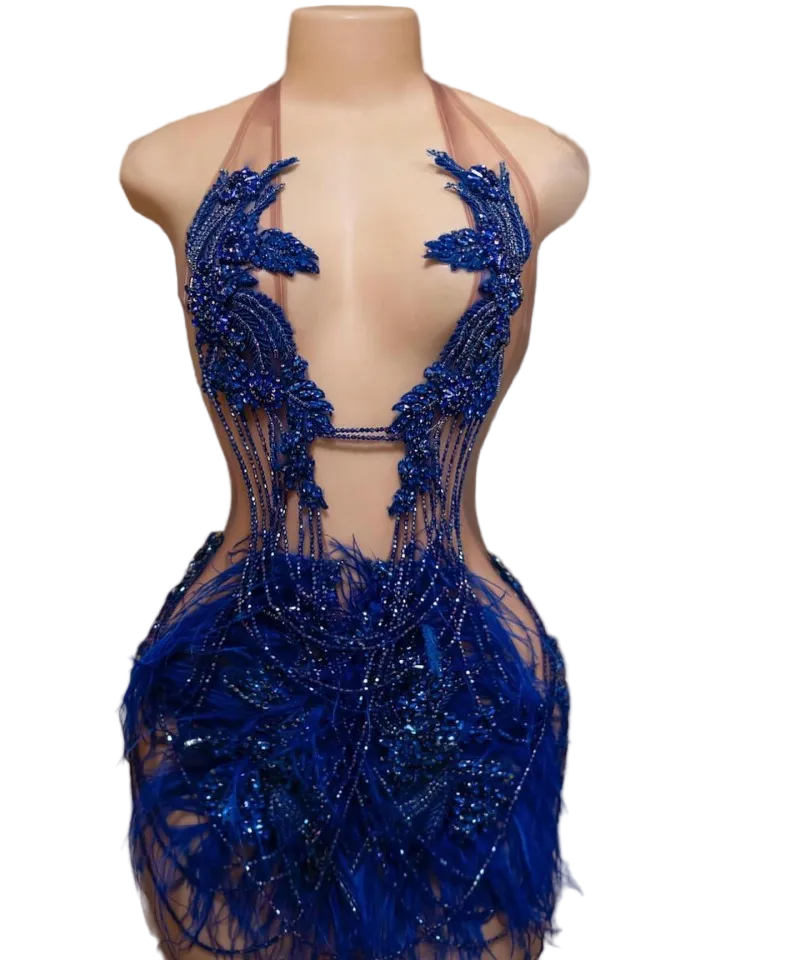 RED OSTRICH SLVSH CRYSTAL DRESS